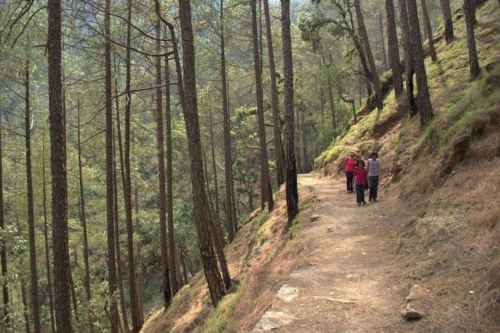 Dehradun to Haldwani Cabs