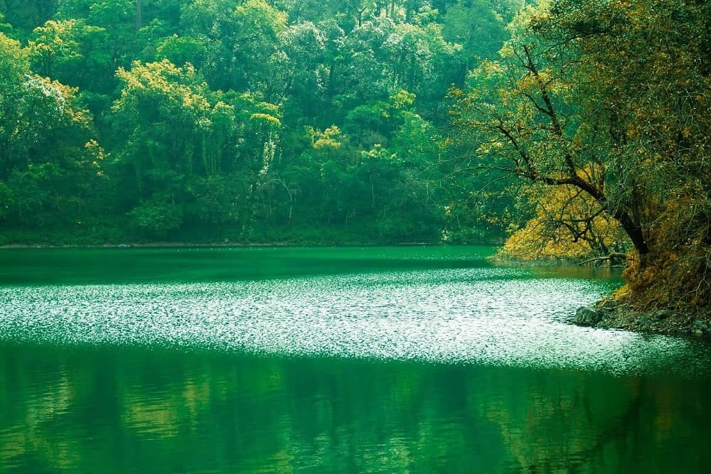 Dehradun to Haldwani Cabs