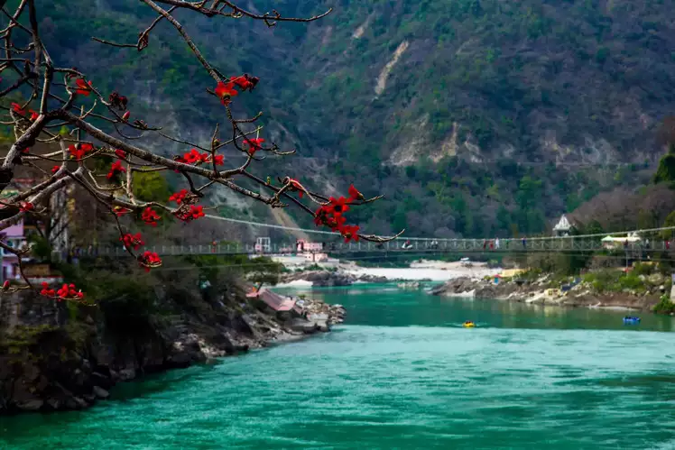 Almora to Rishikesh Taxi